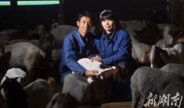 新闻爆料牧羊人视频,揭秘草原奇观背后的神秘力量